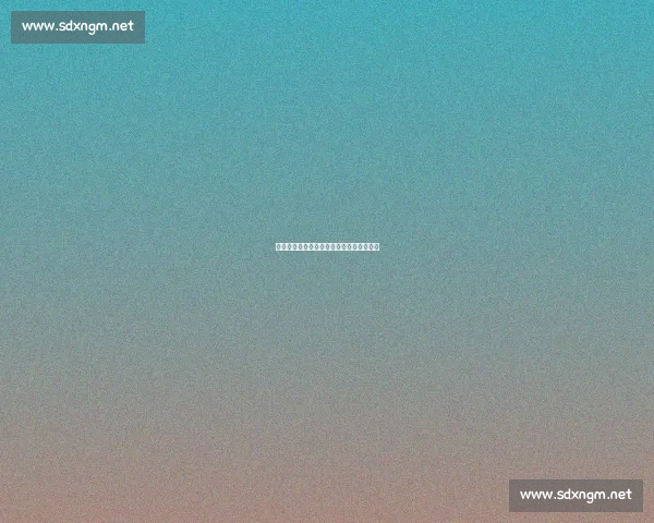 瑞典中锋盛赞申京:全能身手难挡攻防锋芒