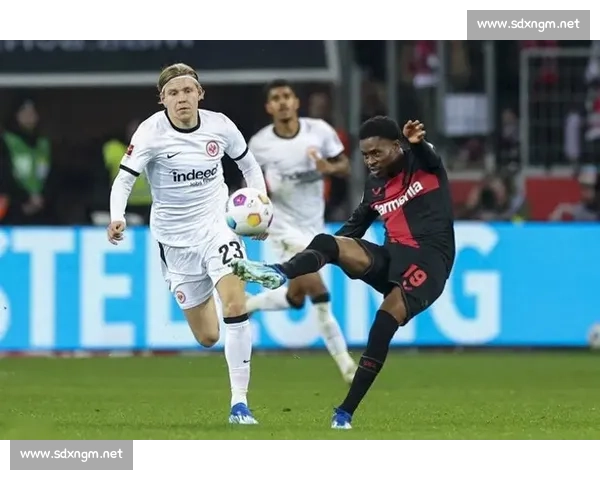 沙姆洛vs加尔扎巅峰对决战术博弈与实力走向全面解析深度前瞻