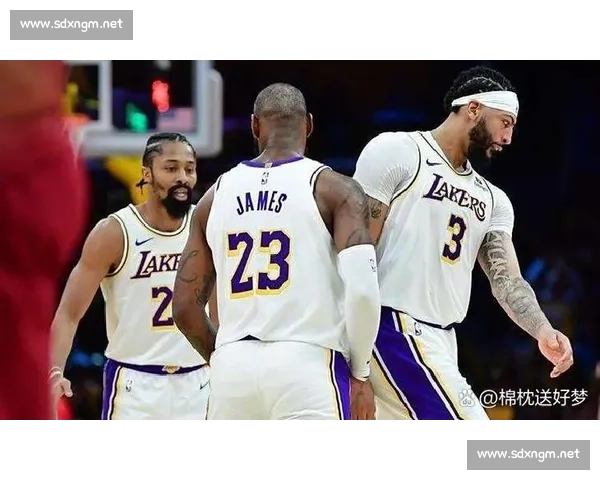 2009年季后赛火箭对湖人铁血对决与时代交锋全纪录经典回顾