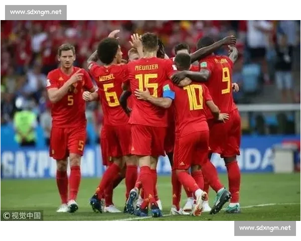 比利时对阵俄罗斯赛前预测与胜负走势全面解析关键数据与战术看点