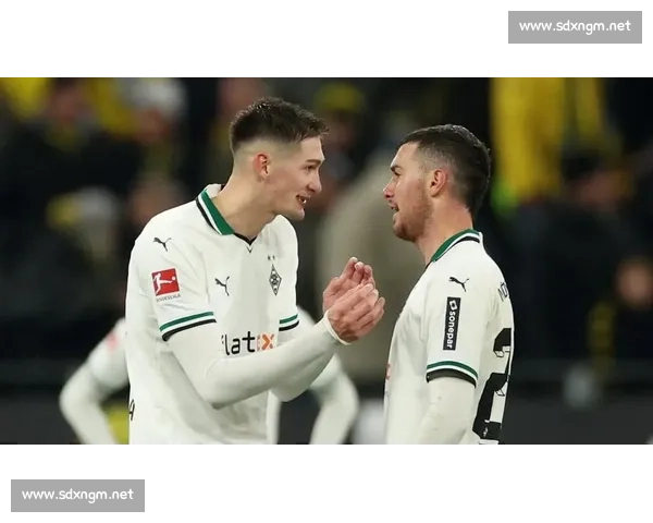 德甲焦点对决霍芬海姆迎战门兴胜负悬念引爆全场赛季走向关键一战