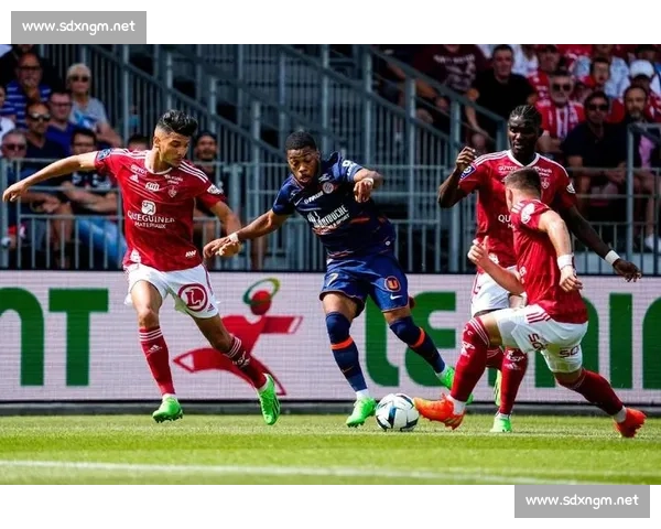 斗牛士军团迎战瑞士铁血防线欧洲赛场巅峰对决前瞻战术博弈与荣耀之夜